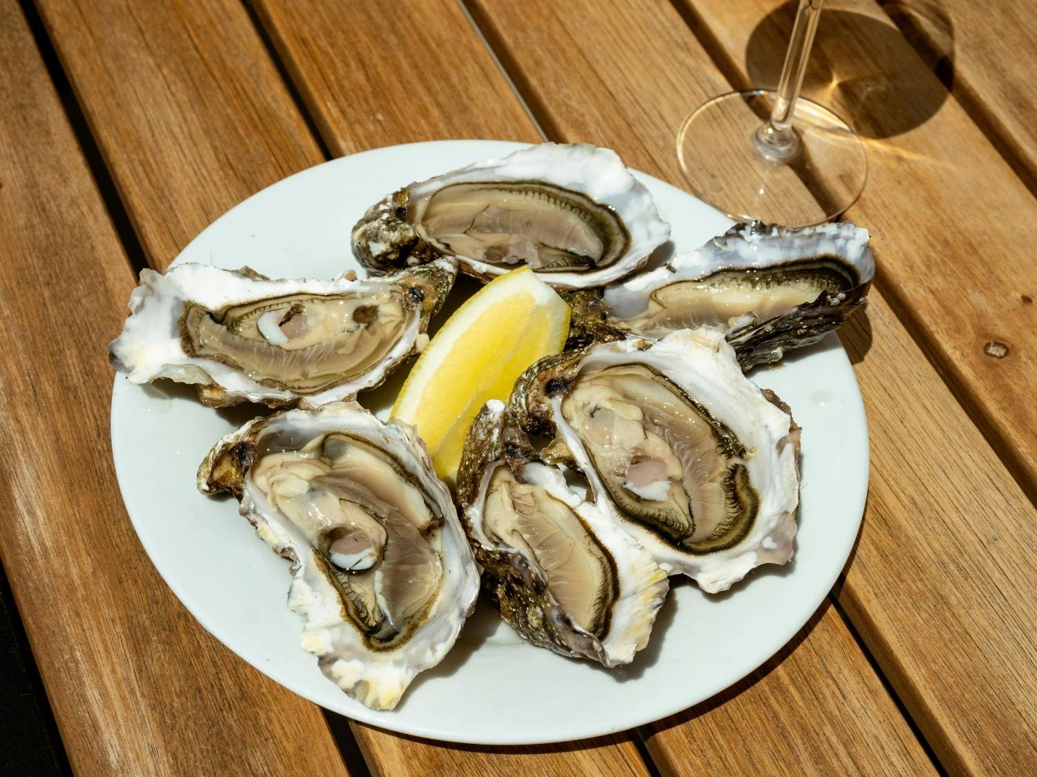 Huîtres fraîches dégustées sur l’Île de Noirmoutier